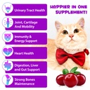 cat-multivitamin-15-in-1-cat-vitamins-li-5.jpg