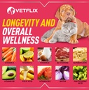 10-in-1-pet-vitamins-for-dogs-cats-puppi-6.jpg