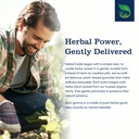 bilberry-extract-gummies-for-eye-health--6.jpg