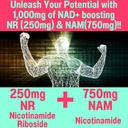 shizam-nicotinamide-riboside-nr-nam-resv-3.jpg