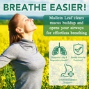 mullein-gummies-for-lung-detox-2000mg-mu-2.jpg