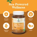 natures-craft-irish-sea-moss-gummies-for-5.jpg