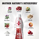 rescue-detox-ice-cranberry-flavor-32oz-m-5.jpg