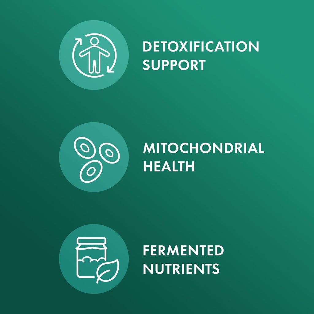 dr-mercola-organic-fermented-broccoli-sp-4.jpg