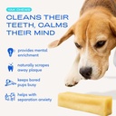 native-pet-sockeye-salmon-oil-for-dogs-a-3.jpg