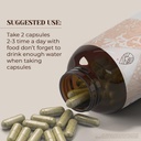 horsetail-120-capsules-high-potency-herb-2.jpg