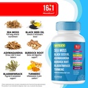 viteey-sea-moss-capsules-with-black-seed-5.jpg