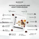 barker-wellness-daytime-sugar-free-adapt-6.jpg