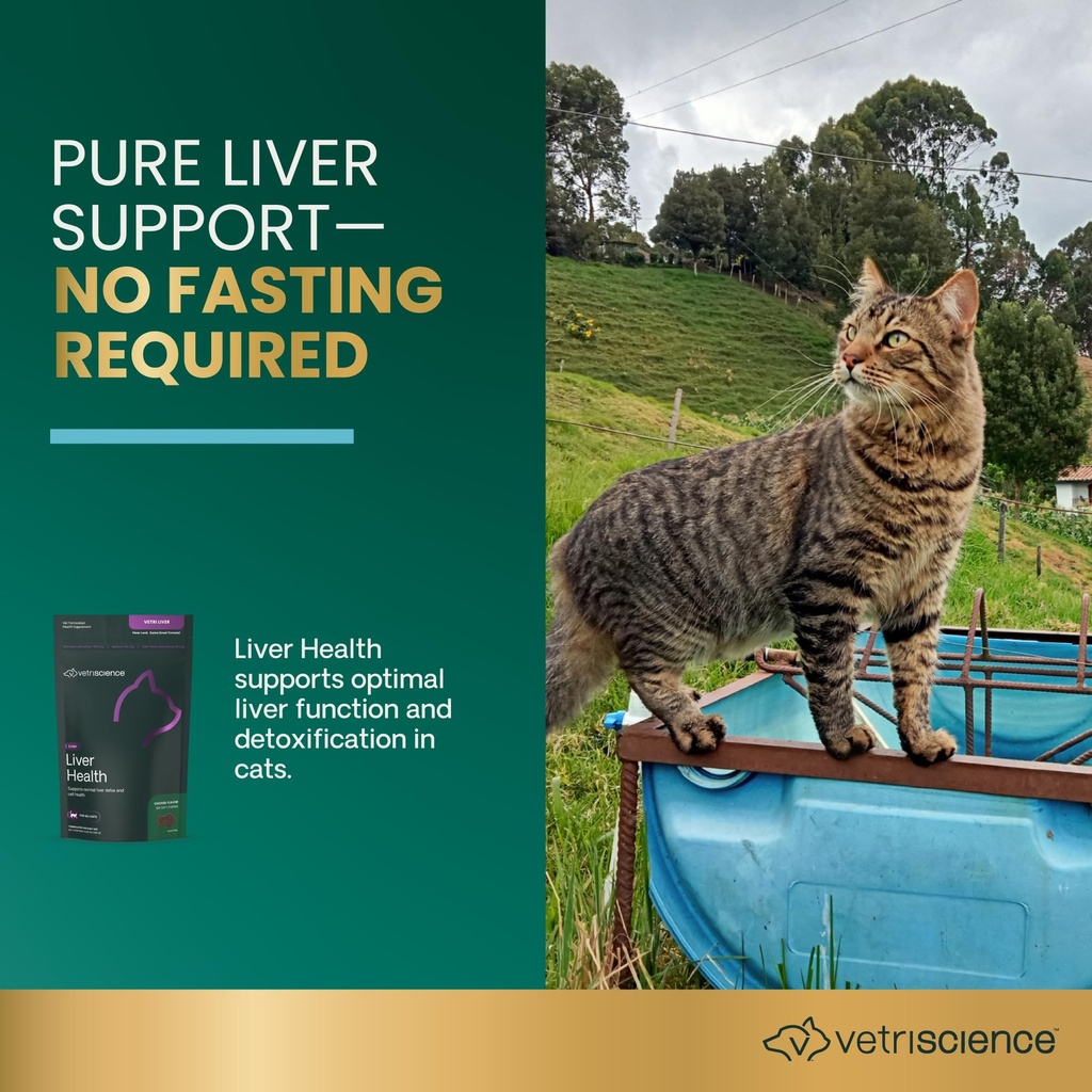 vetriscience-liver-health-chews-for-cats-5.jpg