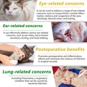 antibiotics-for-cats-natural-antibiotic--5.jpg