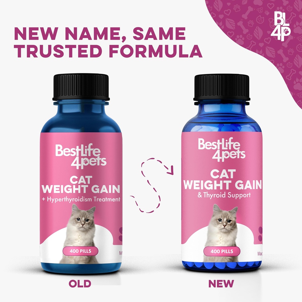 cat-weight-gainer-thyroid-support-natura-2.jpg