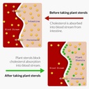 upnourish-plant-sterols-citrus-bergamot--3.jpg