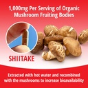 encapsulate-shiitake-capsules-1000mg-pre-6.jpg