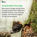 sayan-siberian-chaga-mushroom-extract-90-5.jpg