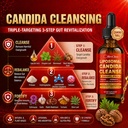liposomal-candida-cleanse-drops-2000mg-2-3.jpg