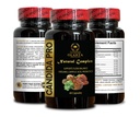 candida-support-complex-organic-red-reis-4.jpg