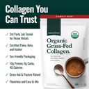 natural-force-organic-clean-collagen-pep-5.jpg