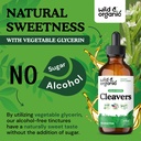 wild-organic-cleavers-lymphatic-drainage-6.jpg