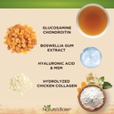 natures-base-turmeric-ginger-120-ct-gluc-5.jpg