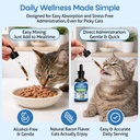 pet-wellbeing-kidney-support-gold-for-ca-4.jpg