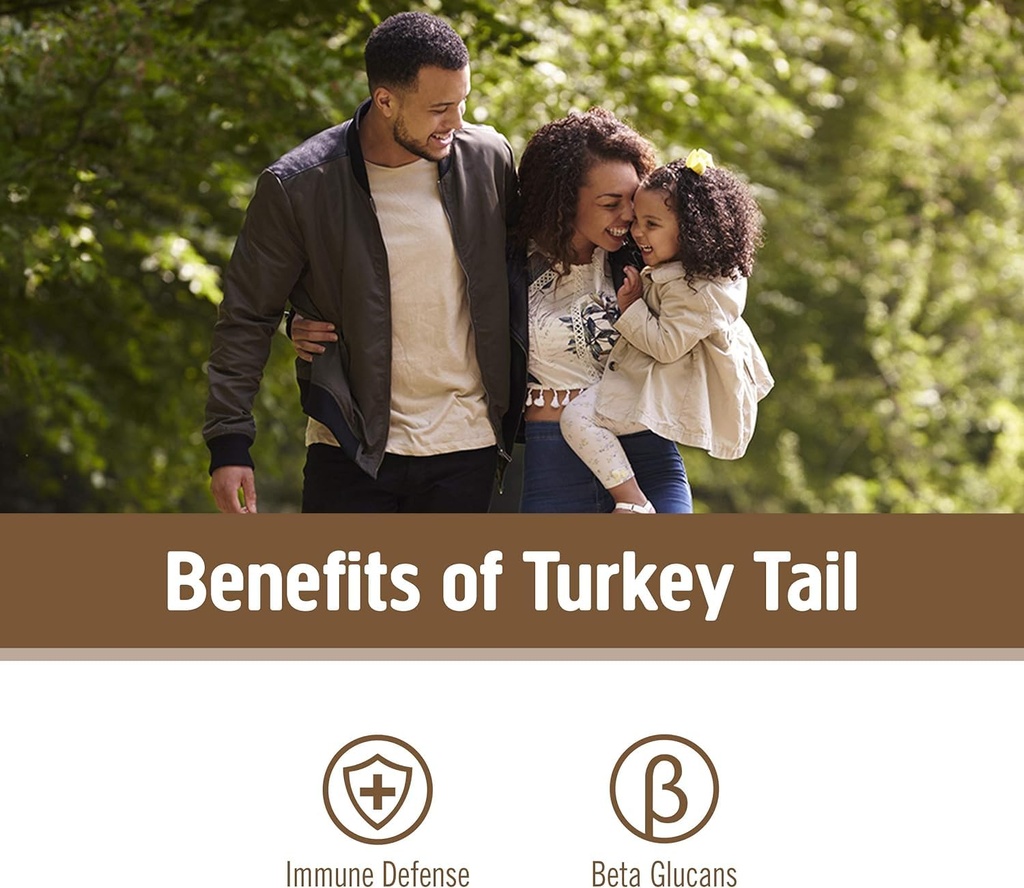 om-mushroom-superfood-turkey-tail-organi-4.jpg
