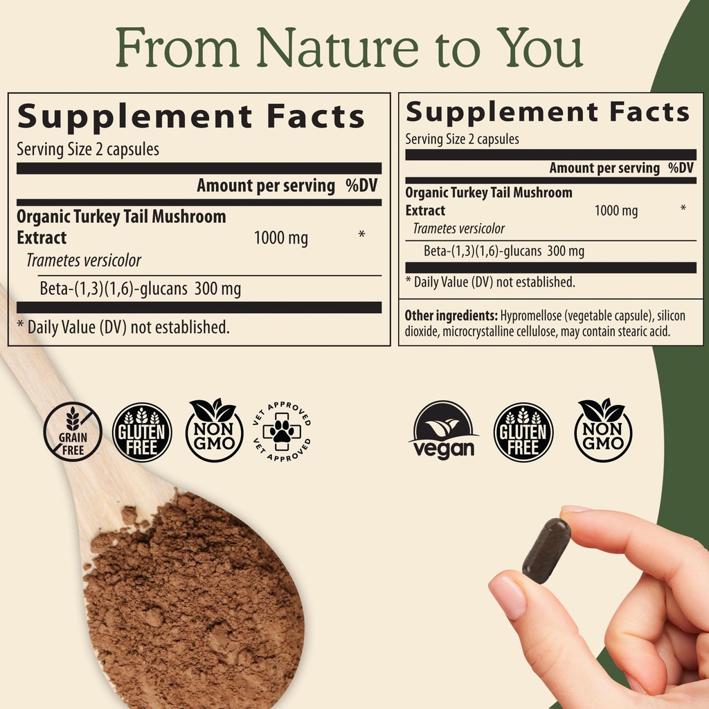 real-mushrooms-turkey-tail-powder-for-hu-3.jpg