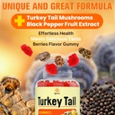 turkey-tail-mushroom-turkey-tail-100-fru-6.jpg