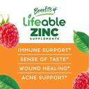 lifeable-zinc-25mg-kids-zinc-kids-gummie-4.jpg