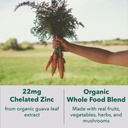 plantfusion-vegan-zinc-supplements-22-mg-3.jpg