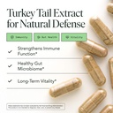 fantastic-fungi-turkey-tail-mushroom-cap-2.jpg