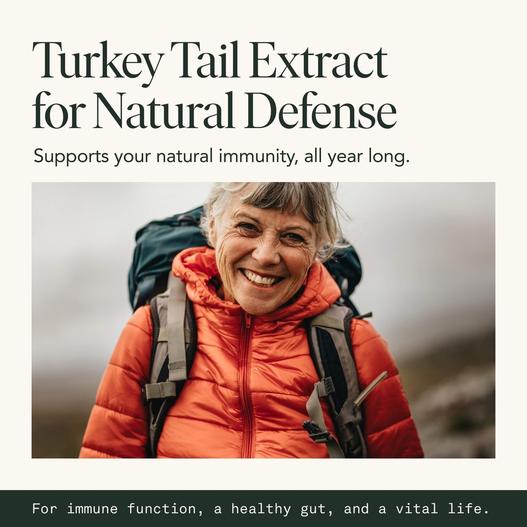 fantastic-fungi-turkey-tail-mushroom-cap-6.jpg