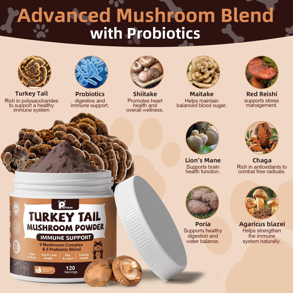 mushroom-supplement-with-probiotics-for--4.jpg