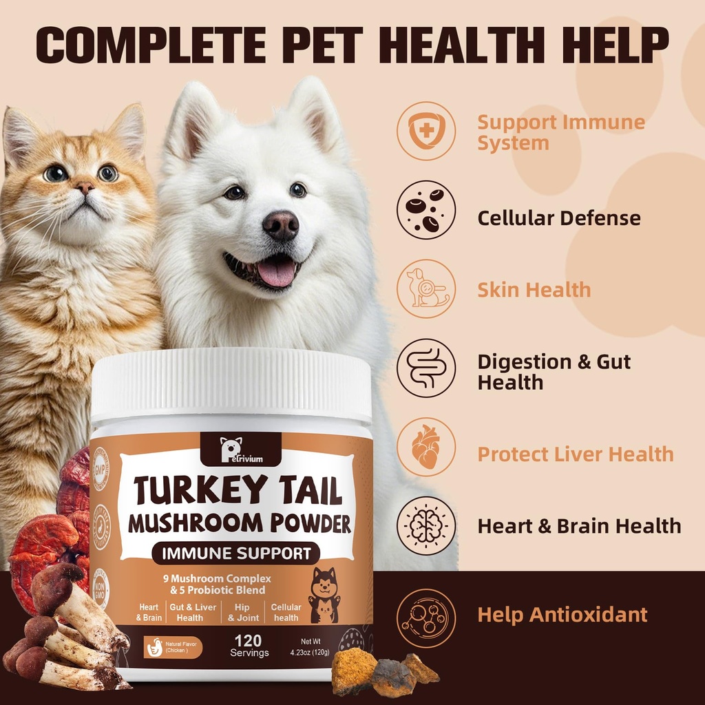 mushroom-supplement-with-probiotics-for--3.jpg