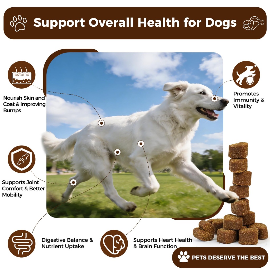 turkey-tail-mushroom-for-dogs-170-count--2.jpg
