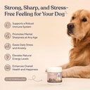pawfy-turkey-tail-mushroom-chews-for-dog-6.jpg