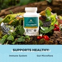 ancient-nutrition-regenerative-organic-c-3.jpg