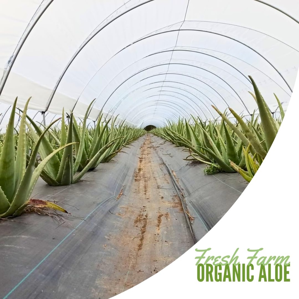 naturae-healthy-aloe-vera-juice-with-pul-6.jpg