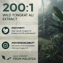 jungle-powders-tongkat-ali-for-men-powde-4.jpg