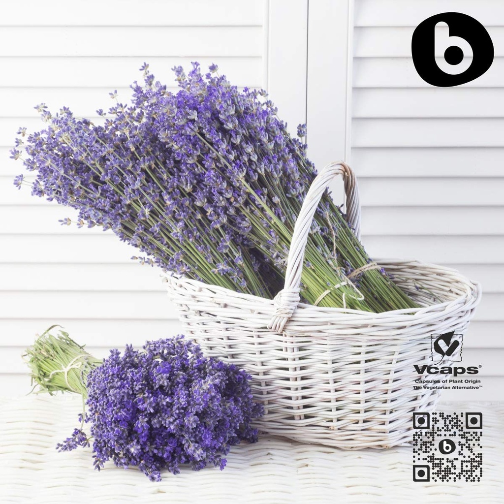 organic-lavender-capsules-lavender-pills-6.jpg