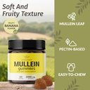 herbamama-mullein-gummies-for-lungs---20-4.jpg