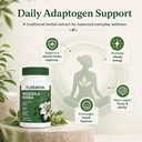 floraviva-rhodiola-rosea-supplement-500m-2.jpg