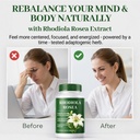 rhodiola-rosea-supplement-rhodiola-rosea-6.jpg