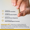 premier-research-labs-adaptogen-r3-suppl-4.jpg