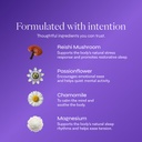 br-z-dream-reishi-mushroom-drink-non-inf-4.jpg