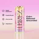 br-z-dream-reishi-mushroom-drink-non-inf-2.jpg