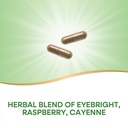 nature-s-way-eyebright-herb-premium-blen-3.jpg
