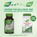nature-s-way-feverfew-herb-traditional-s-2.jpg
