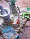 eclectic-herb-feverfew-capsules-support--6.jpg