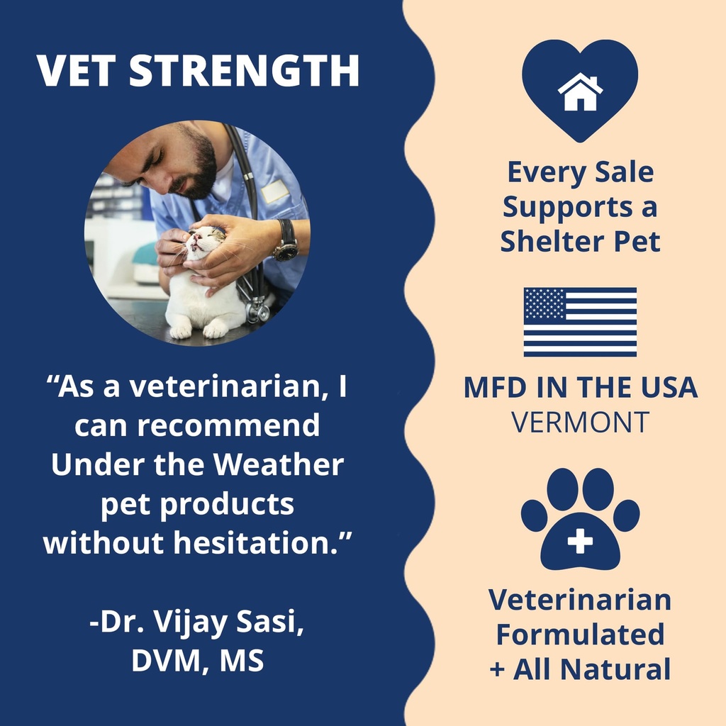under-the-weather-pet-electrolytes-ready-5.jpg