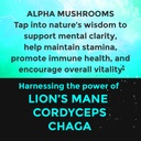 fully-loaded-alpha-mushroom-pouches-adap-5.jpg